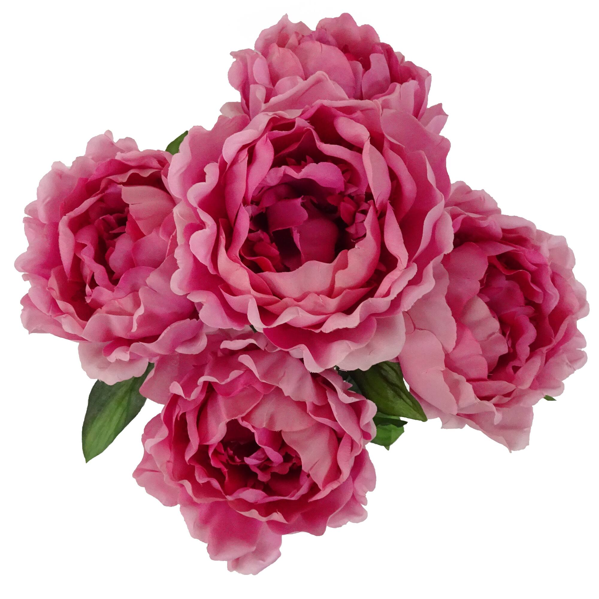 20" Peony Bush by Ashland